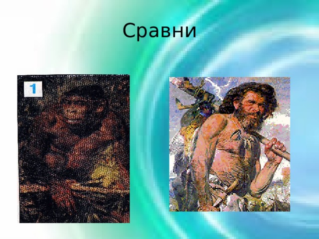 Сравни 