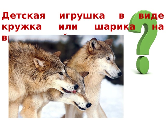 Детская игрушка в виде кружка или шарика на вращающейся оси. 