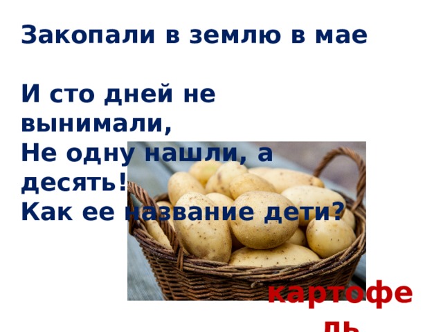 Закопали в землю в мае  И сто дней не вынимали,  Не одну нашли, а десять!  Как ее название дети? картофель 