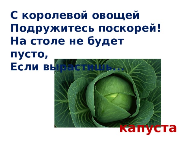 С королевой овощей  Подружитесь поскорей!  На столе не будет пусто,  Если вырастишь... капуста 