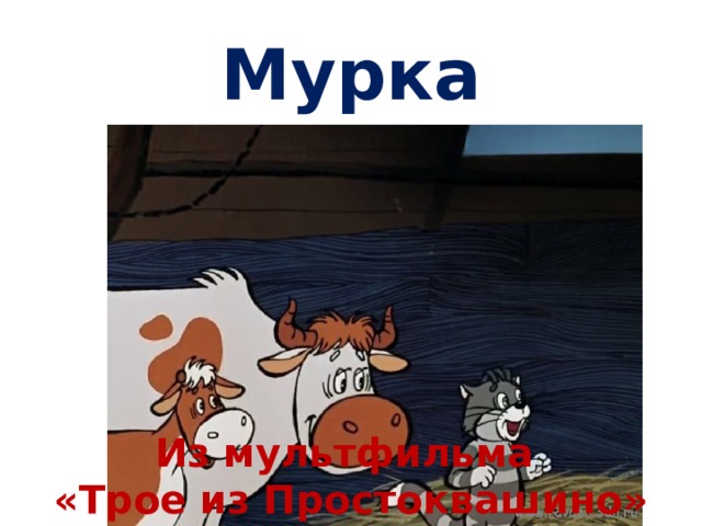 Мурка Из мультфильма «Трое из Простоквашино» 