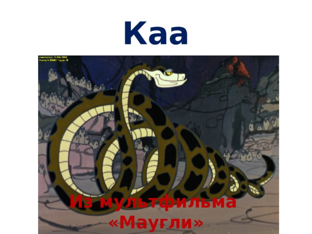 Каа Из мультфильма «Маугли» 