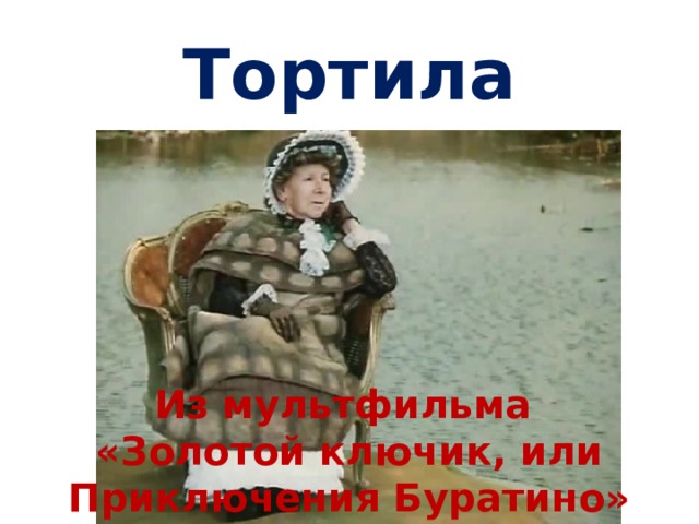 Тортила Из мультфильма «Золотой ключик, или Приключения Буратино» 