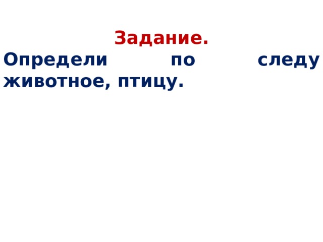 Задание. Определи по следу животное, птицу.  