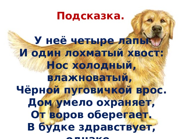  Подсказка.  У неё четыре лапы  И один лохматый хвост:  Нос холодный, влажноватый,  Чёрной пуговичкой врос.  Дом умело охраняет,  От воров оберегает.  В будке здравствует, однако,  Как зовут её?...   