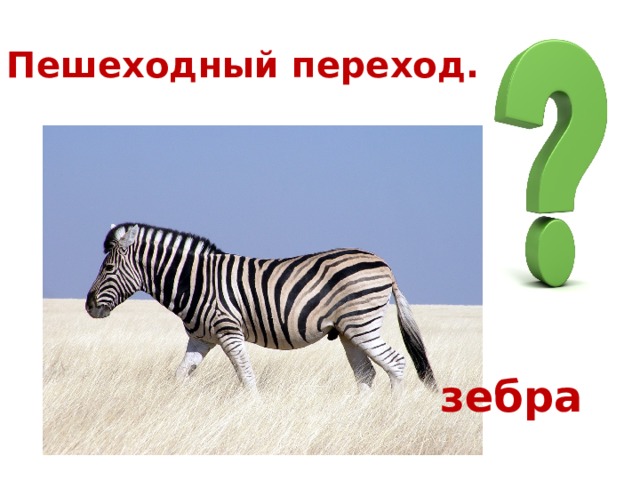 Пешеходный переход. зебра 