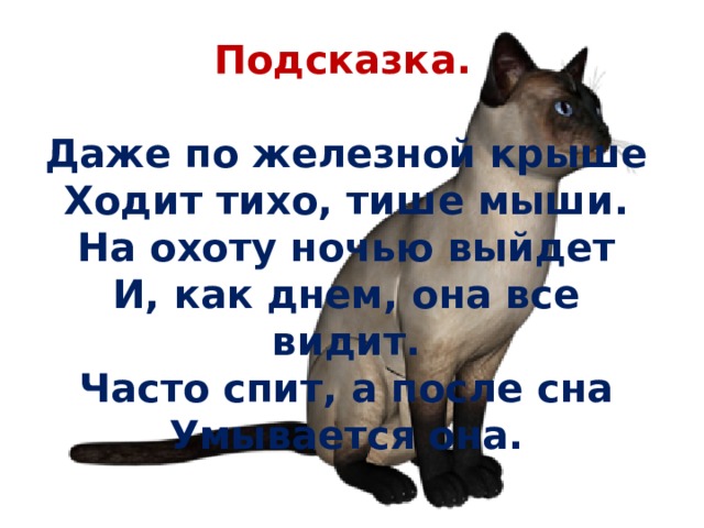  Подсказка.  Даже по железной крыше  Ходит тихо, тише мыши.  На охоту ночью выйдет  И, как днем, она все видит.  Часто спит, а после сна  Умывается она.   