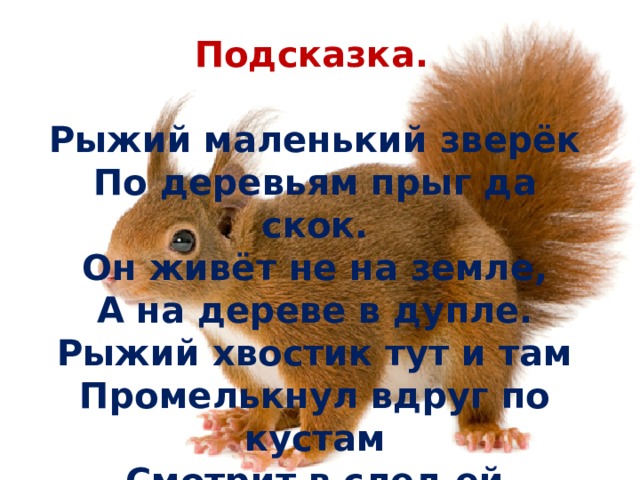  Подсказка.  Рыжий маленький зверёк  По деревьям прыг да скок.  Он живёт не на земле,  А на дереве в дупле.  Рыжий хвостик тут и там  Промелькнул вдруг по кустам  Смотрит в след ей девочка,  Знает это… 
