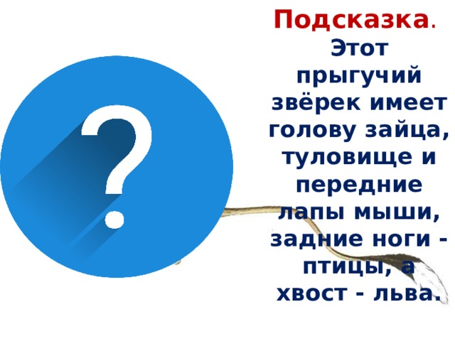 Подсказка . Этот прыгучий звёрек имеет голову зайца, туловище и передние лапы мыши, задние ноги - птицы, а хвост - льва.  