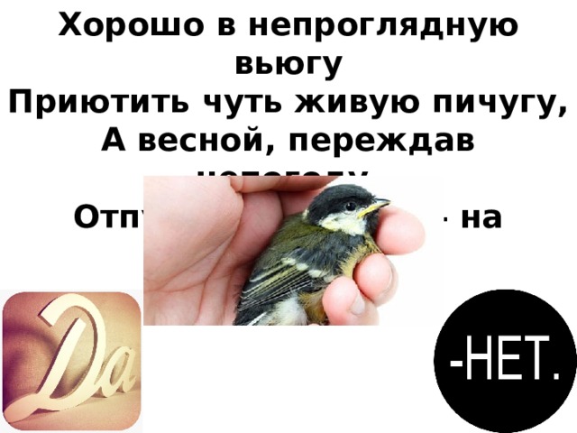 Хорошо в непроглядную вьюгу  Приютить чуть живую пичугу,  А весной, переждав непогоду,  Отпустить её в лес – на свободу.   