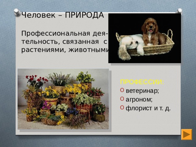 Человек – ПРИРОДА   Профессиональная дея-тельность, связанная с растениями, животными.   ПРОФЕССИИ: ветеринар; агроном; флорист и т. д. 