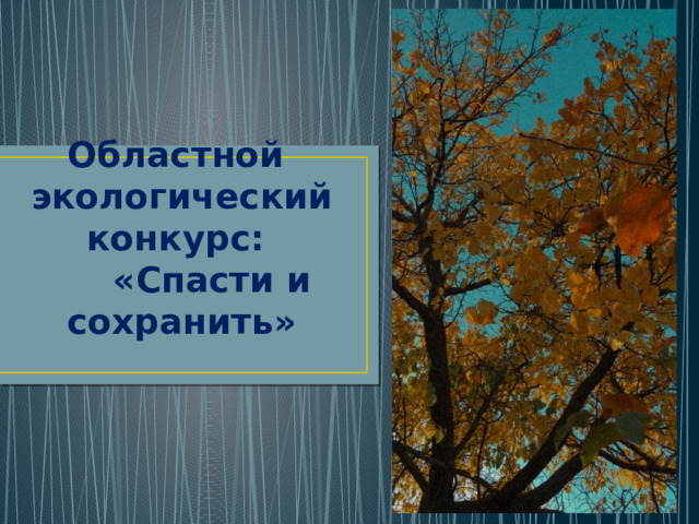 Областной  экологический конкурс:  «Спасти и сохранить» 