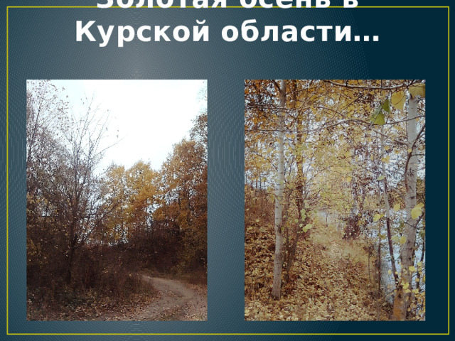Золотая осень в Курской области… 