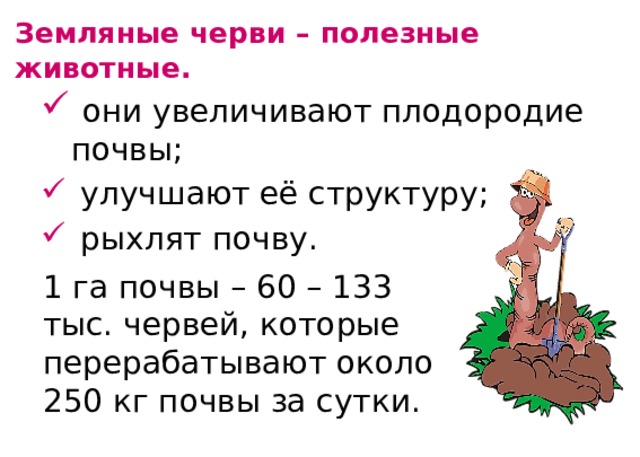 Земляные черви – полезные животные.  они увеличивают плодородие почвы;  улучшают её структуру;  рыхлят почву. 1 га почвы – 60 – 133 тыс. червей, которые перерабатывают около 250 кг почвы за сутки. 