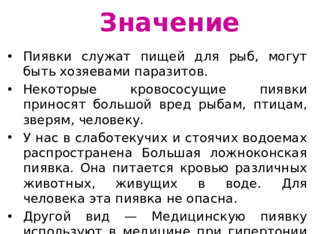 Значение Пиявки служат пищей для рыб, могут быть хозяевами паразитов. Некоторые кровососущие пиявки приносят большой вред рыбам, птицам, зверям, человеку. У нас в слаботекучих и стоячих водоемах распространена Большая ложноконская пиявка. Она питается кровью различных животных, живущих в воде. Для человека эта пиявка не опасна. Другой вид — Медицинскую пиявку используют в медицине при гипертонии и угрозе кровоизлияний. 