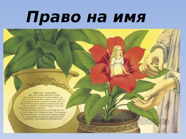 Право на имя 