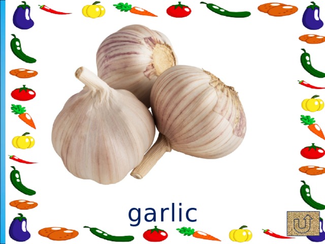 garlic 