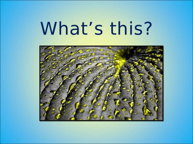 What’s this? 