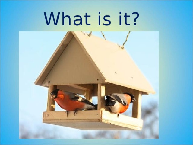 What is it? 