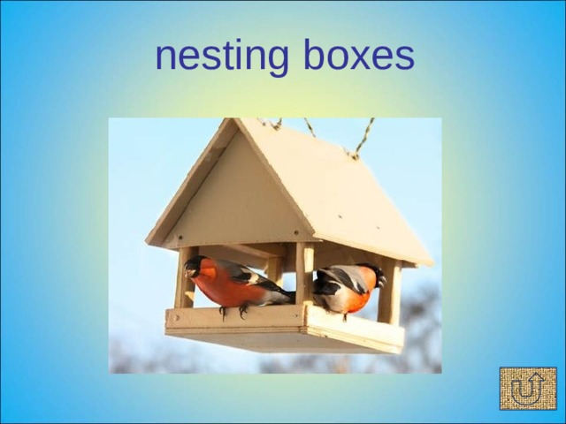  nesting boxes 