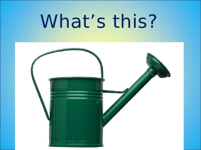 What’s this? 