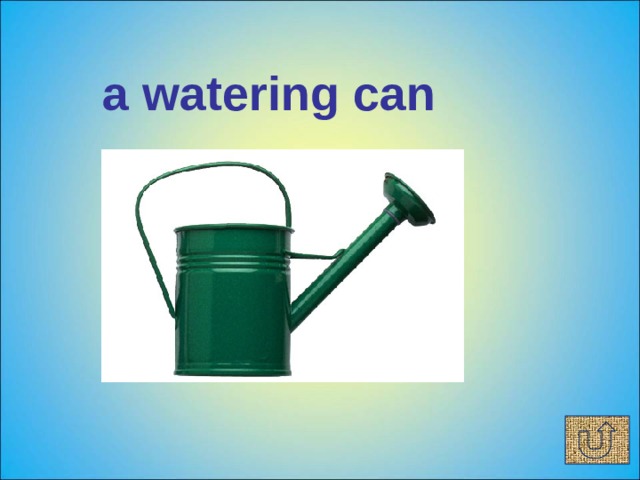 a watering can 