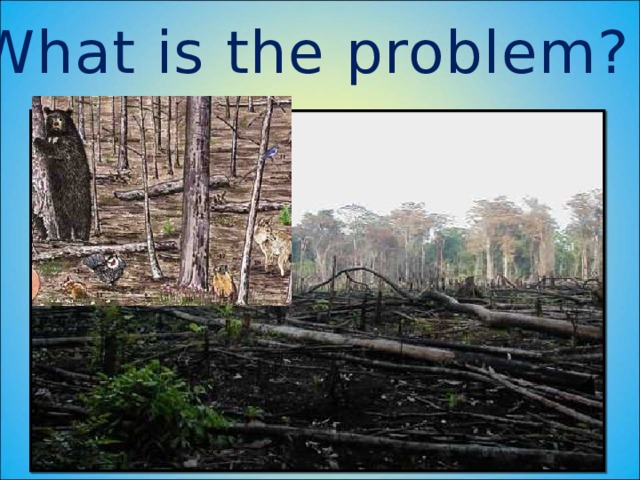 What is the problem? 