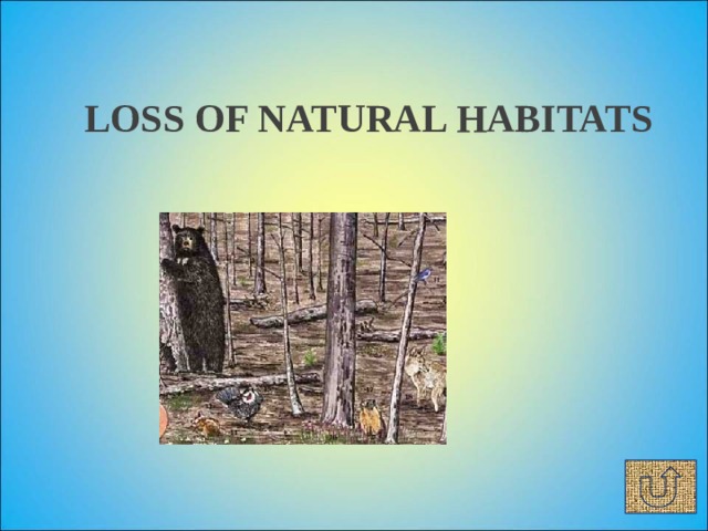LOSS OF NATURAL HABITATS 