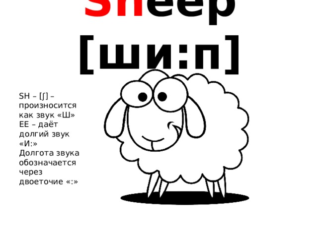 Sh eep [ши:п] SH – [ʃ] – произносится как звук «Ш» ЕЕ – даёт долгий звук «И:» Долгота звука обозначается через двоеточие «:» 