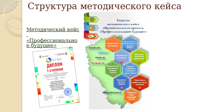 Структура методического кейса Методический кейс «Профессиональное будущее» 