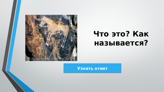 Что это? Как называется? Узнать ответ 