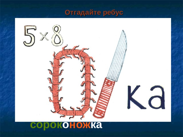 Отгадайте ребус сорок о нож ка   