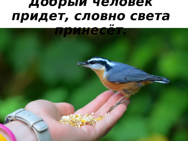    Добрый, света, человек, словно, придет, принесет   
