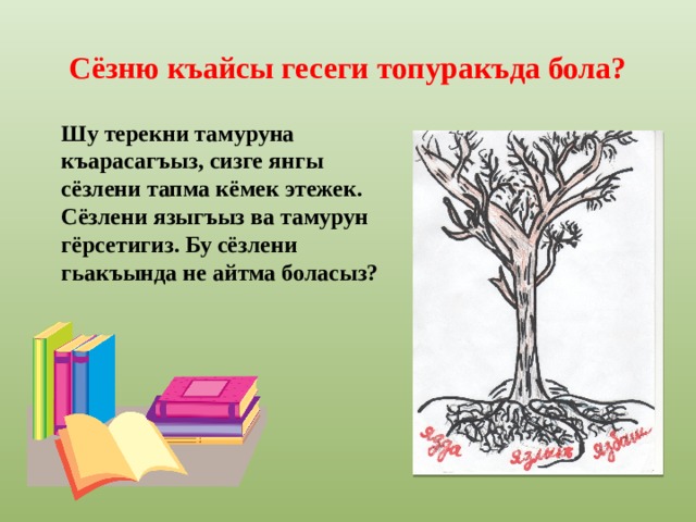 Сёзню къайсы гесеги топуракъда бола? Шу терекни тамуруна къарасагъыз, сизге янгы сёзлени тапма кёмек этежек.  Сёзлени языгъыз ва тамурун гёрсетигиз. Бу сёзлени гьакъында не айтма боласыз?     