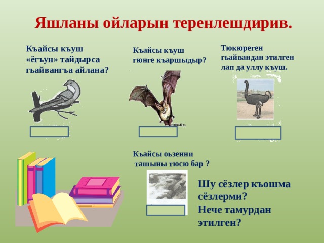 Яшланы ойларын теренлешдирив. Къайсы къуш «ёгъун» тайдырса гьайвангъа айлана? Тюкюреген гьайвандан этилген лап да уллу къуш. Къайсы къуш гюнге къаршыдыр? гечекъуш Къайсы оьзенни  ташыны тюсю бар ? Шу сёзлер  къошма сёзлерми? Нече тамурдан этилген?  