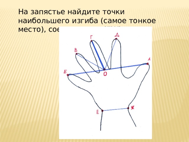 На запястье найдите точки наибольшего изгиба (самое тонкое место), соедините их (ЕЖ) 