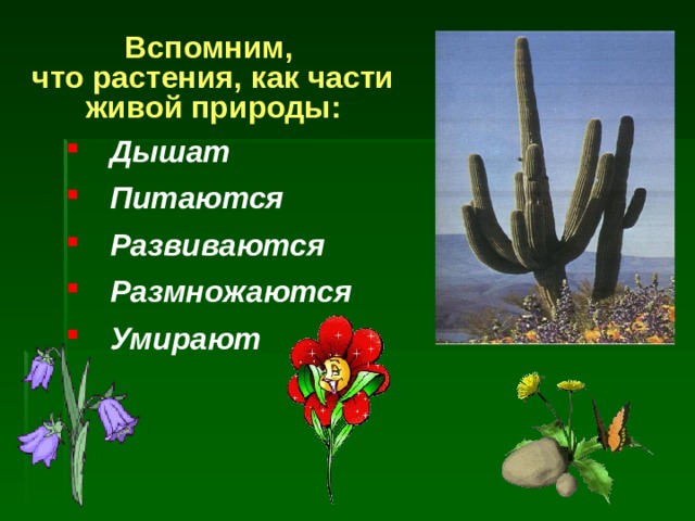 Вспомним,  что растения, как части живой природы: Дышат Питаются Развиваются Размножаются Умирают 