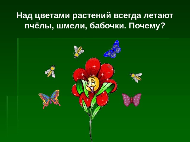 Над цветами растений всегда летают пчёлы, шмели, бабочки. Почему? 