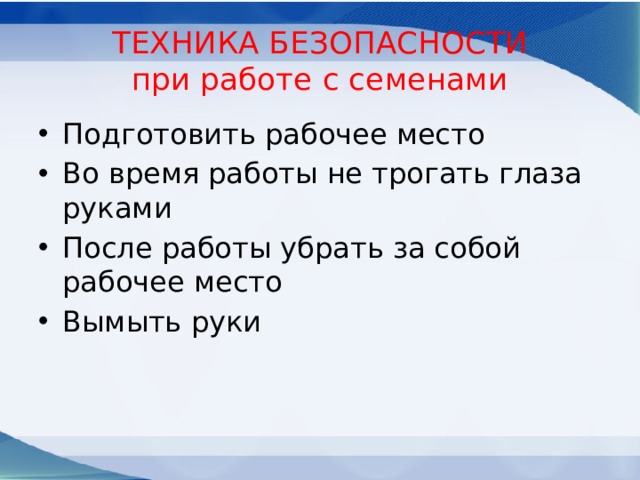 ТЕХНИКА БЕЗОПАСНОСТИ  при работе с семенами Подготовить рабочее место Во время работы не трогать глаза руками После работы убрать за собой рабочее место Вымыть руки 