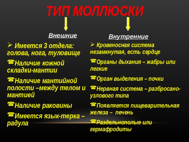 ТИП МОЛЛЮСКИ Внешние Внутренние   Имеется 3 отдела: голова, нога, туловище Наличие кожной складки-мантии Наличие мантийной полости –между телом и мантией Наличие раковины Имеется язык-терка – радула  Кровеносная система незамкнутая, есть сердце Органы дыхания – жабры или легкие Орган выделения – почки Нервная система – разбросано-узлового типа Появляется пищеварительная железа – печень Раздельнополые или гермафродиты 