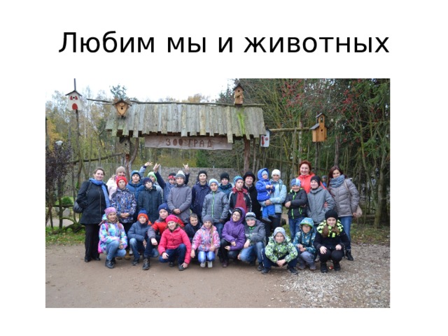 Любим мы и животных 