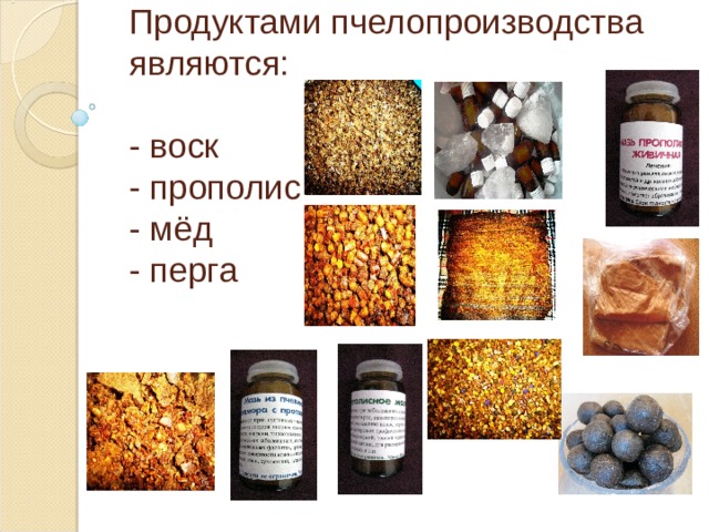 Продуктами пчелопроизводства  являются:    - воск  - прополис  - мёд  - перга   