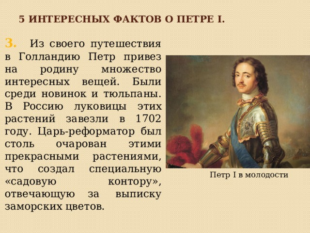5 интересных фактов о петре I. 3. Из своего путешествия в Голландию Петр привез на родину множество интересных вещей. Были среди новинок и тюльпаны. В Россию луковицы этих растений завезли в 1702 году. Царь-реформатор был столь очарован этими прекрасными растениями, что создал специальную «садовую контору», отвечающую за  выписку заморских цветов.  Петр I в молодости 