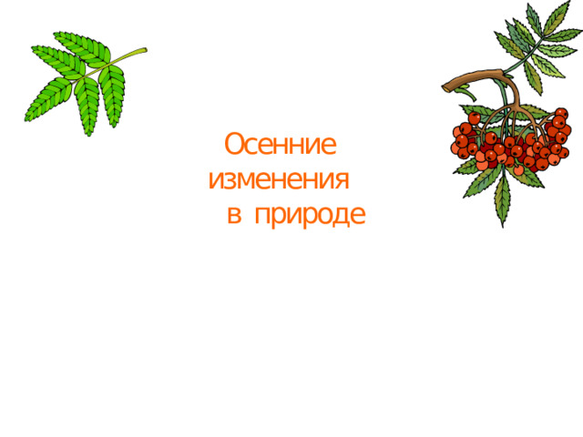 Осенние  изменения в природе 
