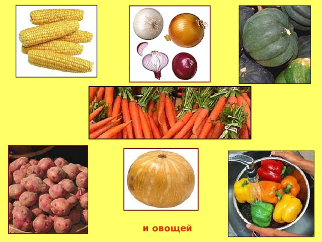 и овощей 