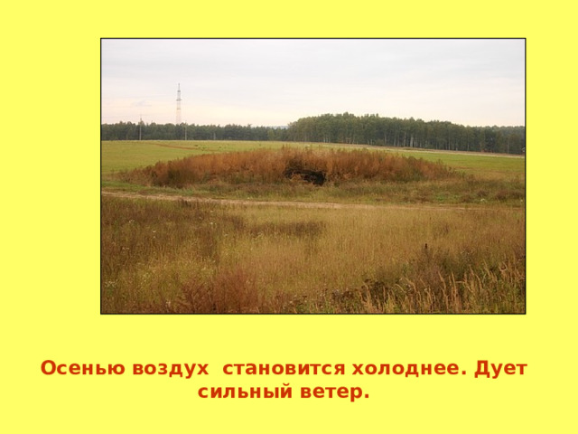 Осенью воздух становится холоднее. Дует сильный ветер. 