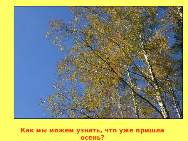 Как мы можем узнать, что уже пришла осень? 