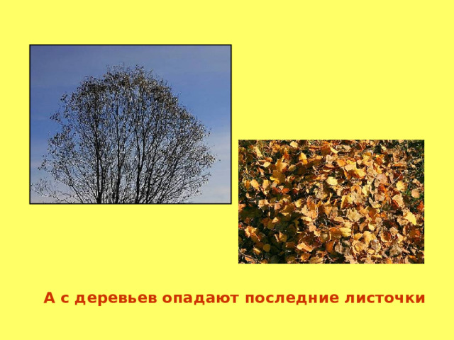 А с деревьев опадают последние листочки 