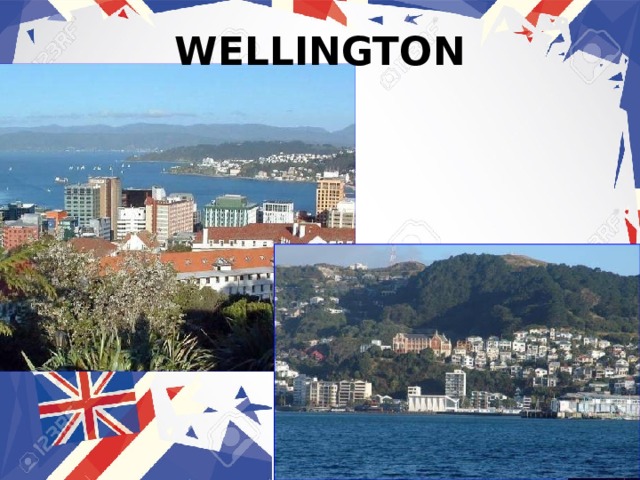 WELLINGTON 