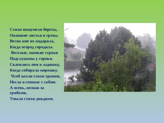 Стихи нашумели березы, Опавшие листья и грозы. Весна мне их подарила, Когда огород городила.   Веселые, звонкие строки Подслушаны у сороки. Скатились они в ладошку, Когда собирала морошку.   Чтоб пахли стихи травою, Несла в сенокос с собою. А осень, позвав за грибами, Умыла стихи дождями. 